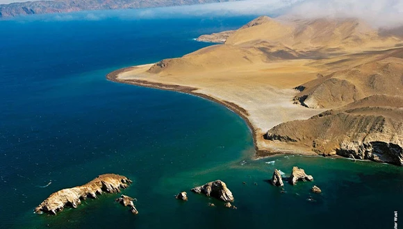 paracas